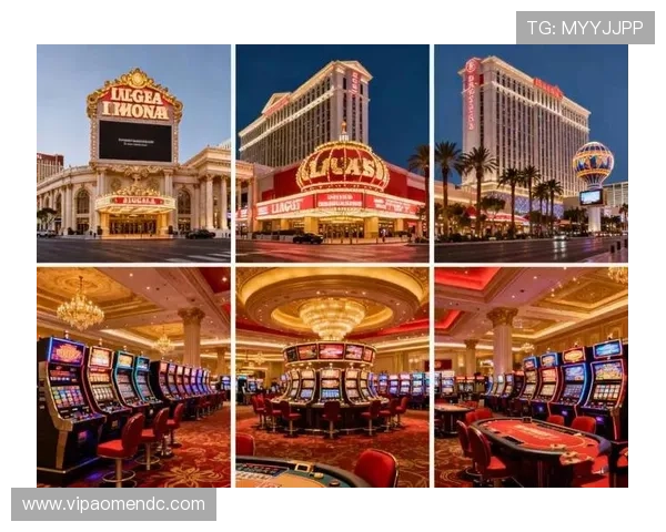 澳门最大的赌场名字排名，分析不同赌场的规模、设施和客户体验