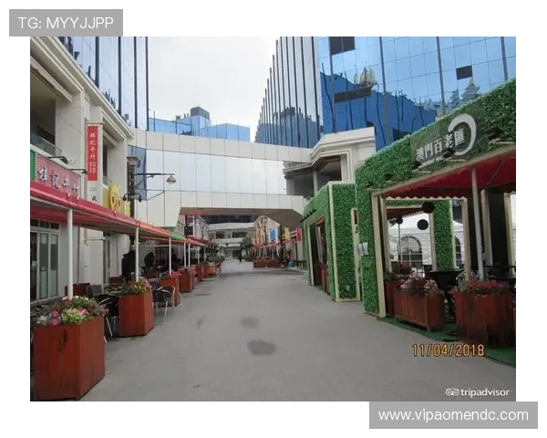 澳门百老汇项目详细介绍及未来发展规划全面解析 澳门百老汇项目详细介绍及未来发展规划全面解析