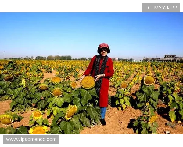 七星手机娱乐多平台同步体验带来极致游戏享受的全新娱乐方式