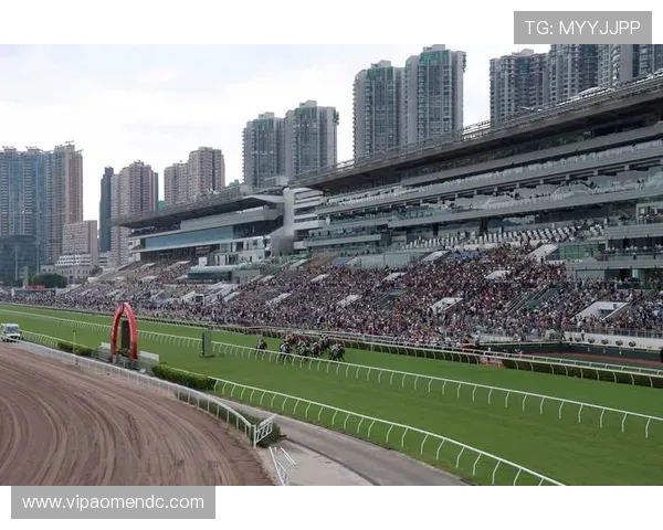 hkjc官方网站：香港赛马会多功能平台助您轻松掌握赛马资讯与客户支持服务