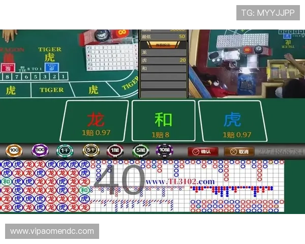 专业解读真人龙虎排行变化,提供最权威的龙虎排名参考数据