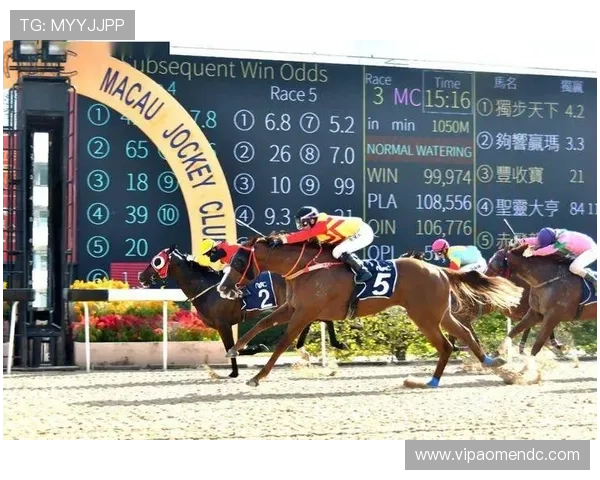 全面的澳门赛马咨询服务帮助客户精准把握赛马投注时机,优化投资策略,提升获胜概率 全面的澳门赛马咨询服务帮助客户精准把握赛马投注时机,优化投资策略,提升获胜概率